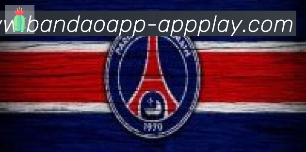 半岛体育app合作伙伴