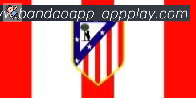 半岛体育app合作伙伴